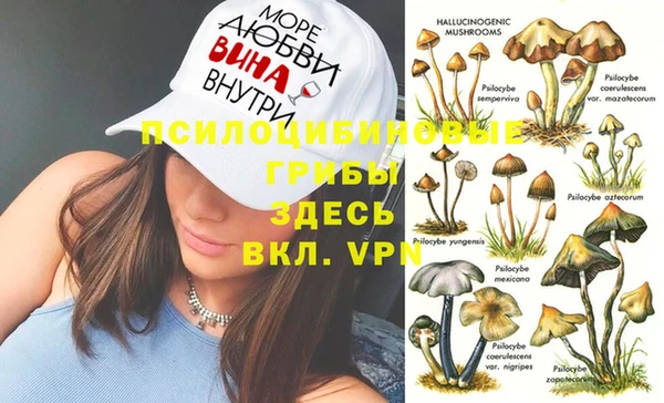хмурый Бородино