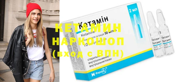 сатива Верея