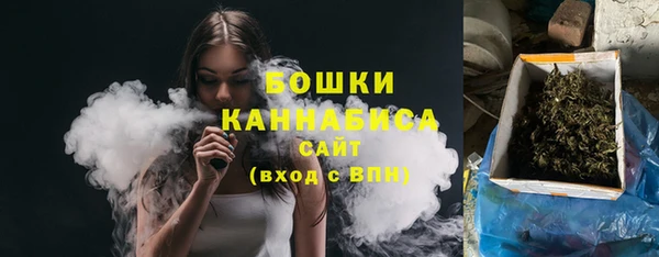 хмурый Бородино