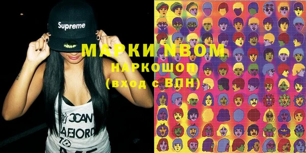 гашик Карпинск