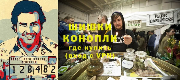 индика Верхний Тагил