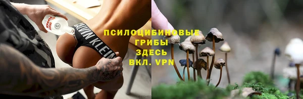 хмурый Бородино