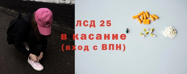 индика Бугульма