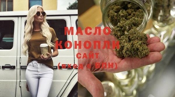индика Верхний Тагил