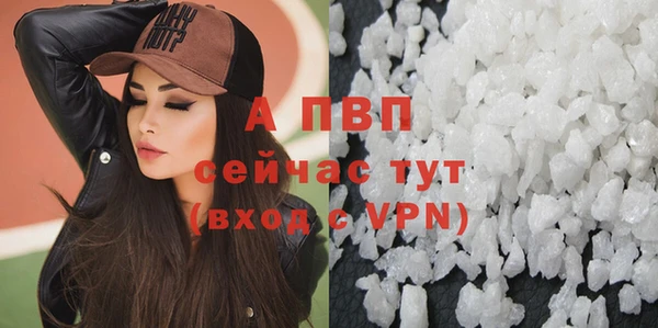 СК Болохово
