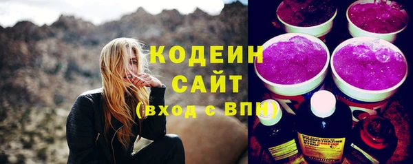 индика Верхний Тагил