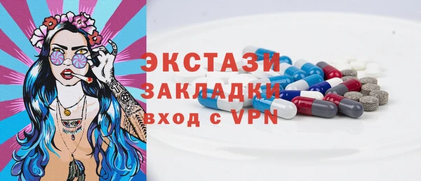 индика Верхний Тагил