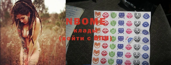 сатива Верея