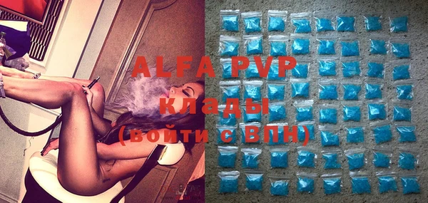 индика Бугульма