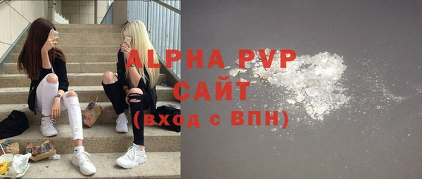 хмурый Бородино