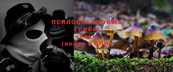 хмурый Бородино